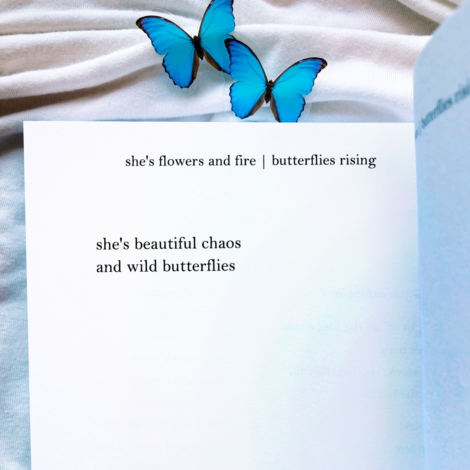 she’s beautiful chaos and wild butterflies