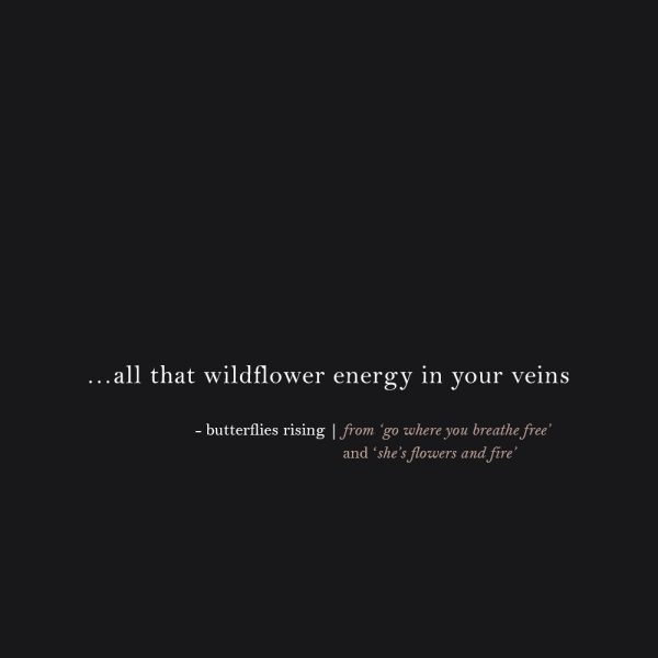 …all that wildflower energy in your veins – butterflies rising