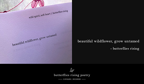 beautiful wildflower, grow untamed - butterflies rising