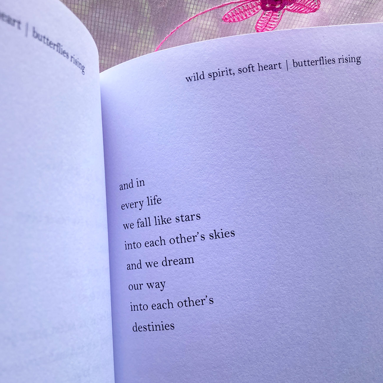 and in every life we fall like stars into each other's skies and we dream our way into each other's destinies - butterflies rising