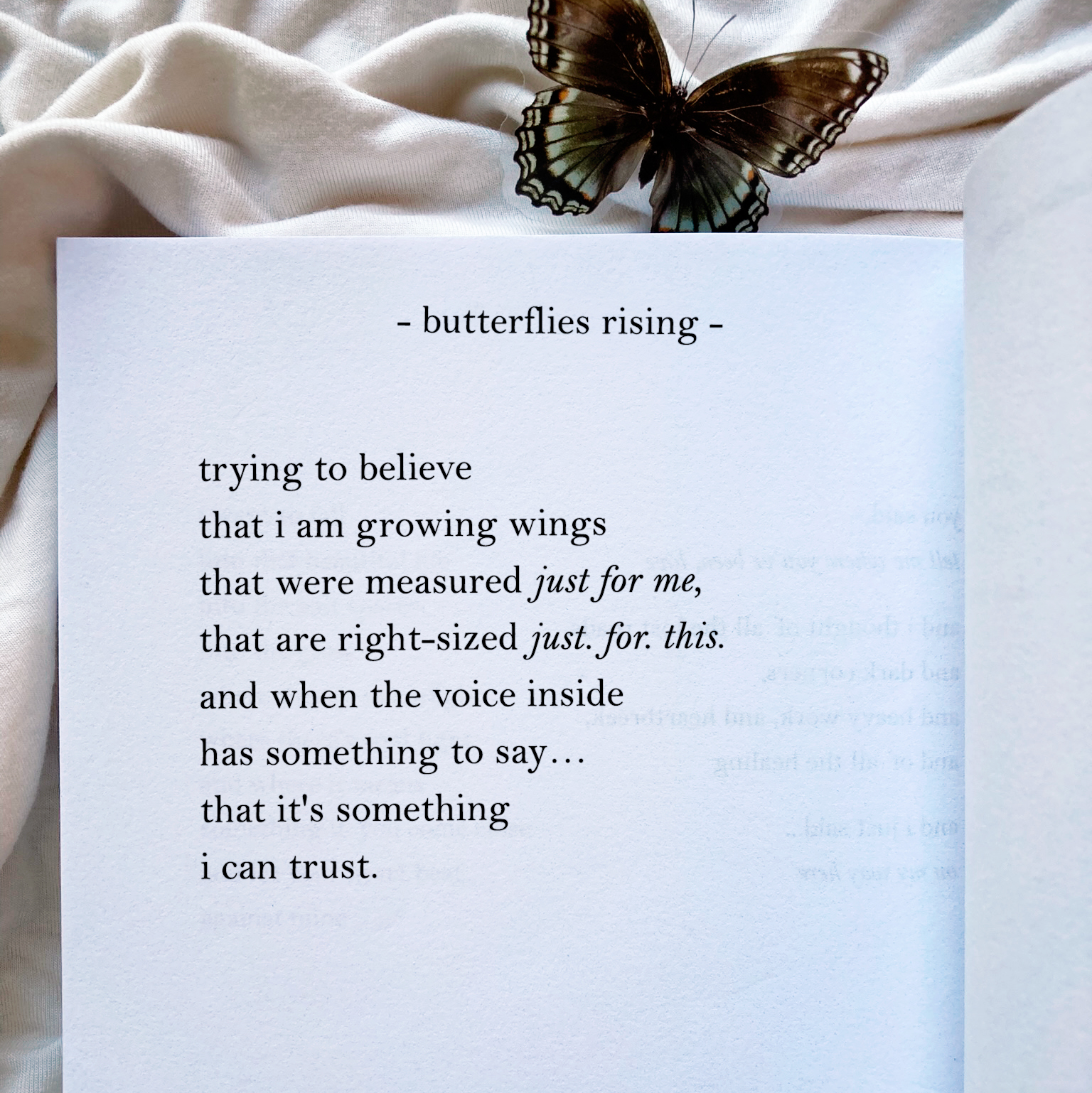 trying to believe that i am growing wings that were measured just for me, that are right-sized just. for. this. and when the voice inside has something to say… that it's something i can trust.