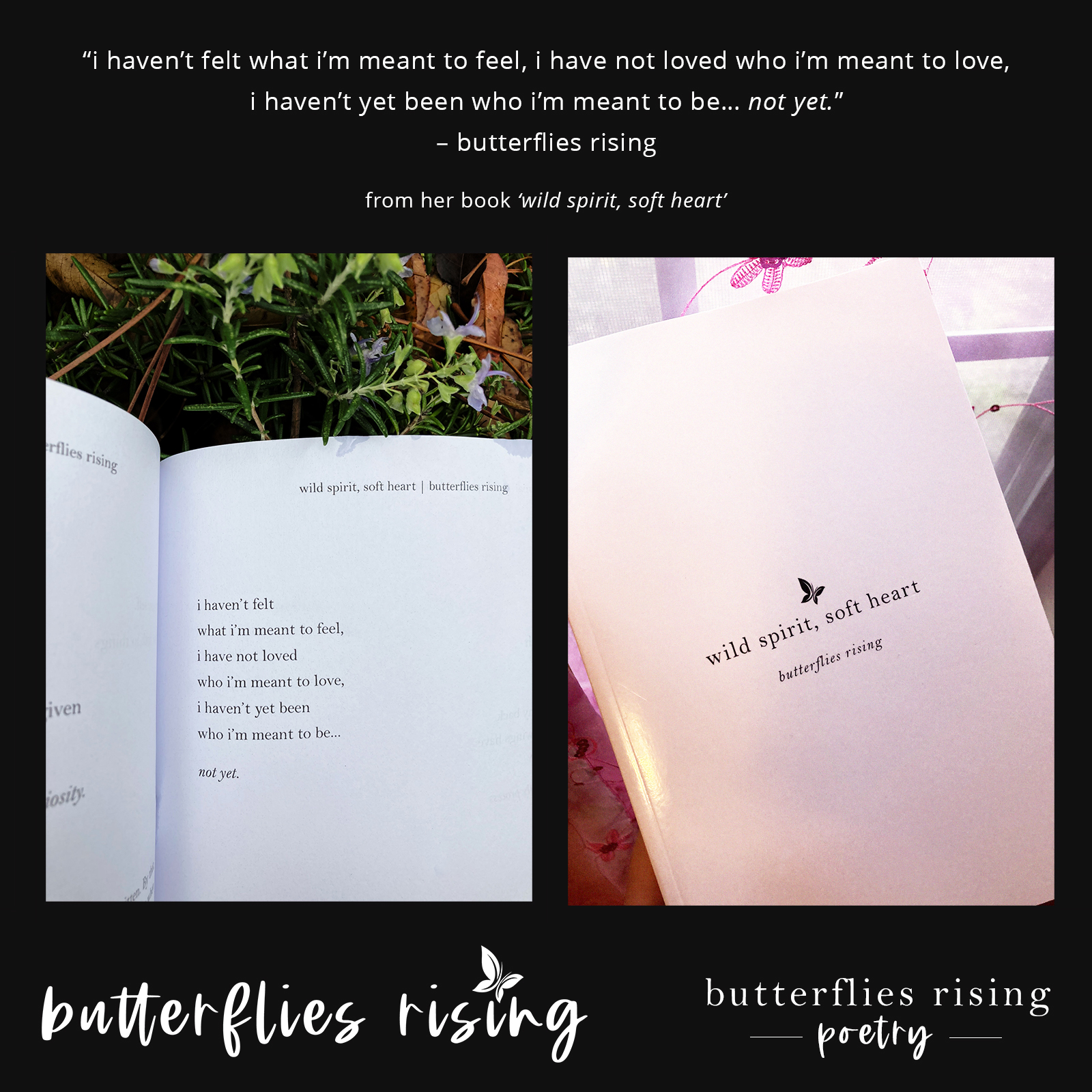 i haven’t felt what i’m meant to feel, i have not loved who i’m meant to love - butterflies rising