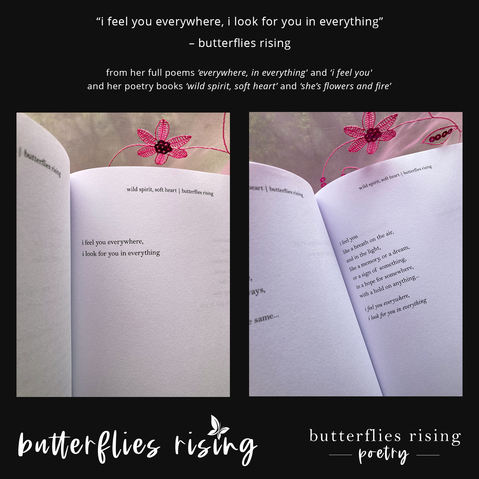 i feel you everywhere, i look for you in everything - butterflies rising