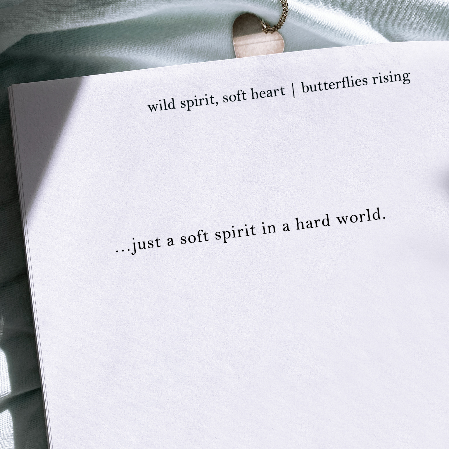 just a soft spirit in a hard world