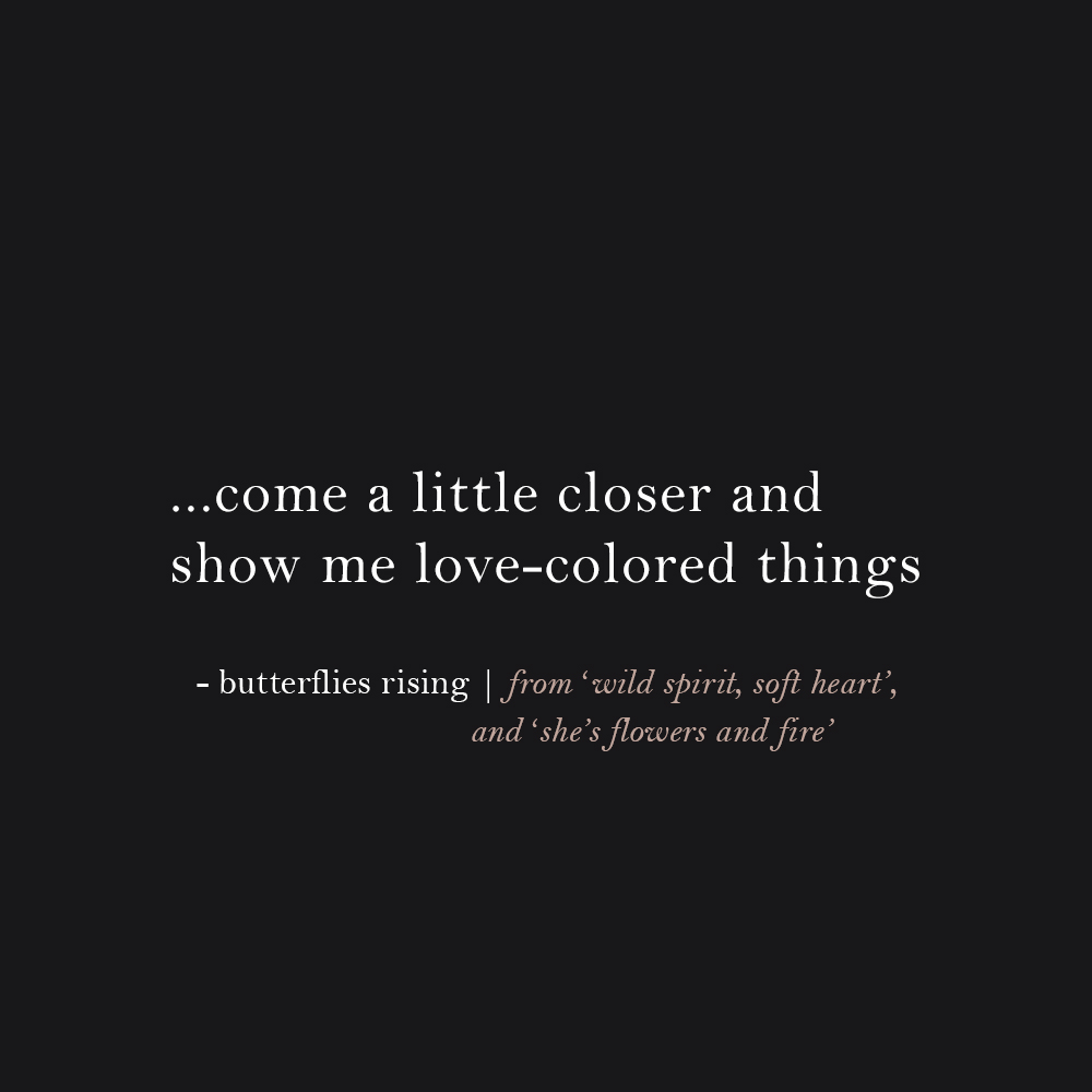 come a little closer and show me love-colored things - butterflies rising