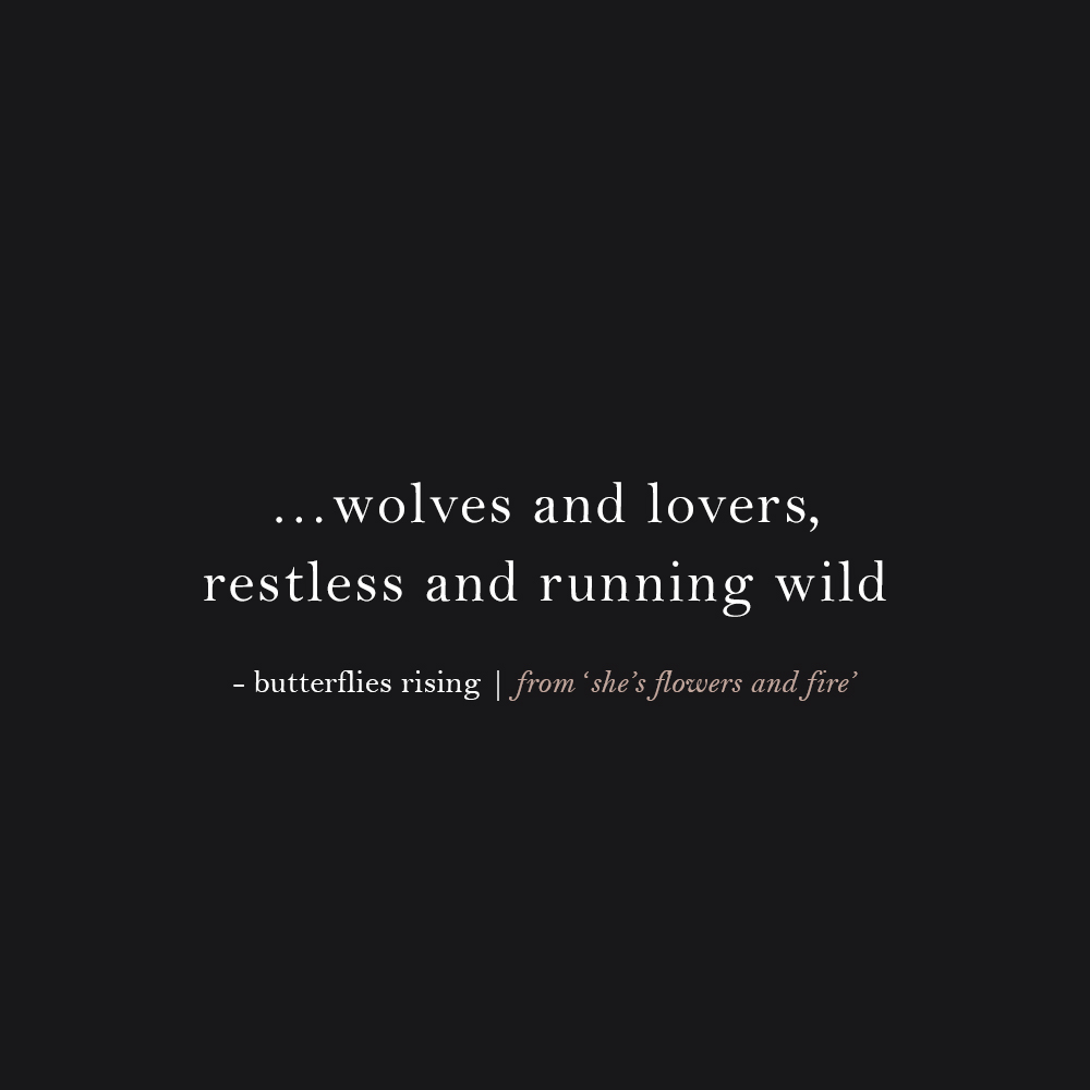 wolves and lovers, restless and running wild