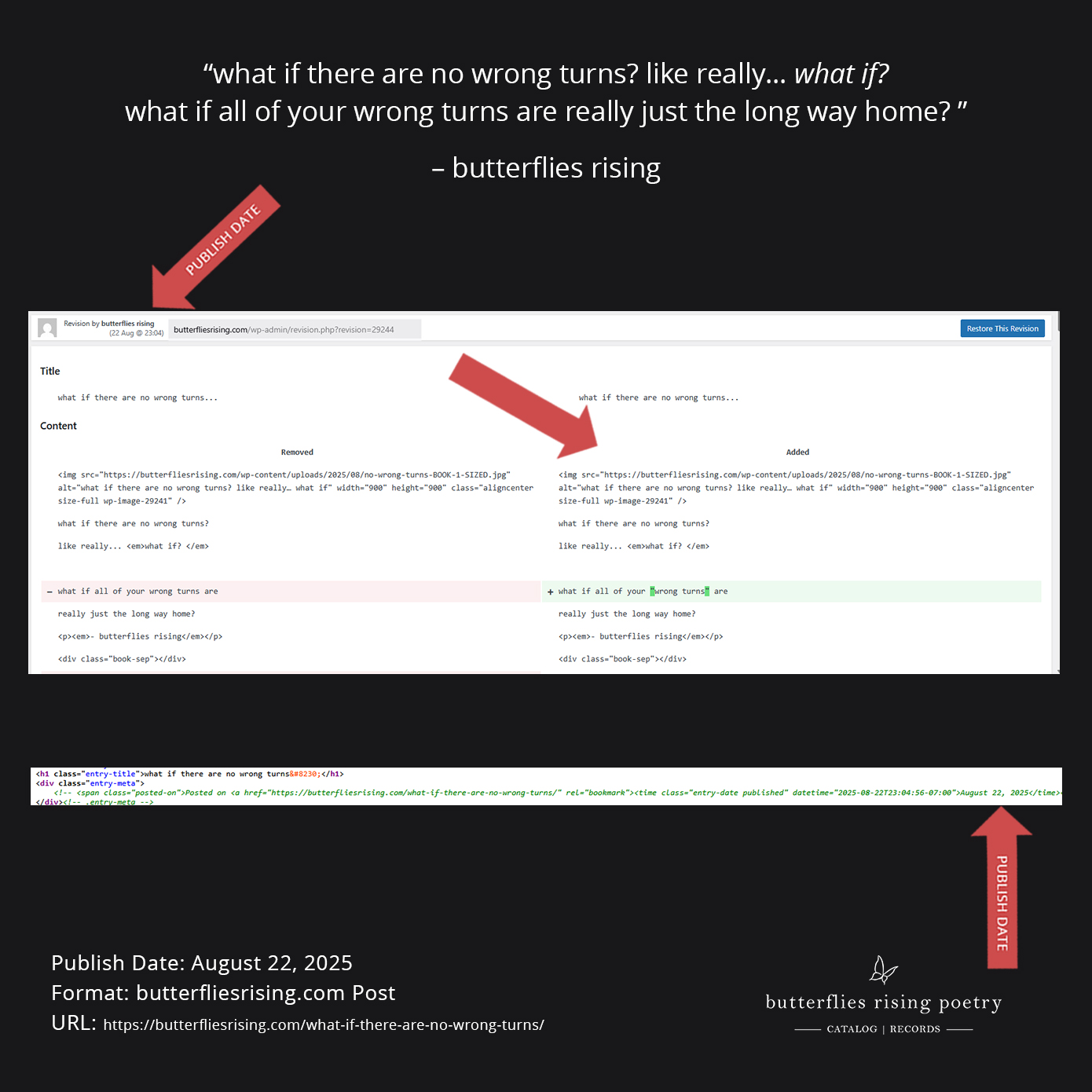 what if there are no wrong turns? like really… what if