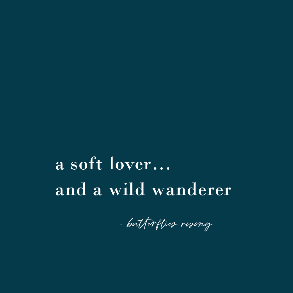 a soft lover… and a wild wanderer - butterflies rising