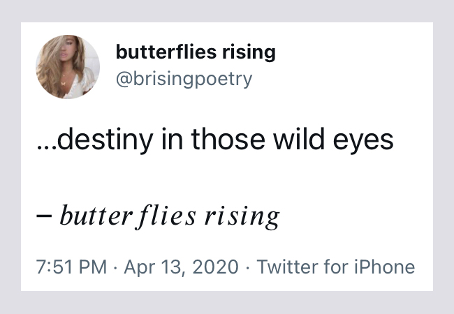 …destiny in those wild eyes - butterflies rising
