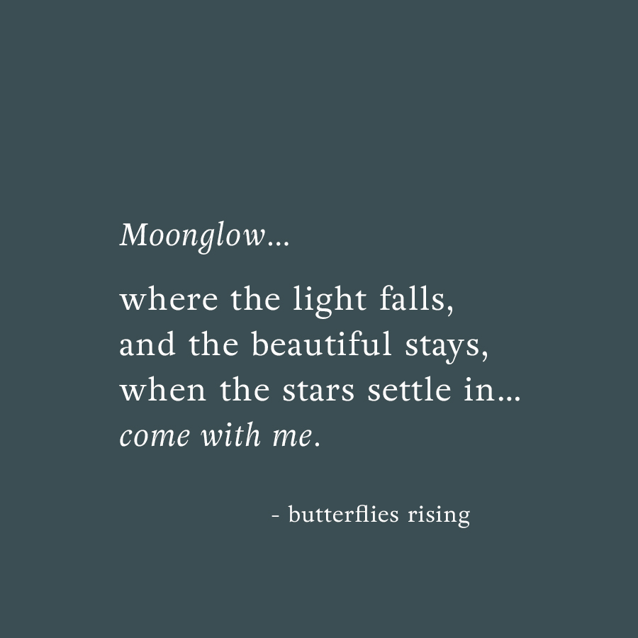 where the light falls, and the beautiful stays - butterflies rising