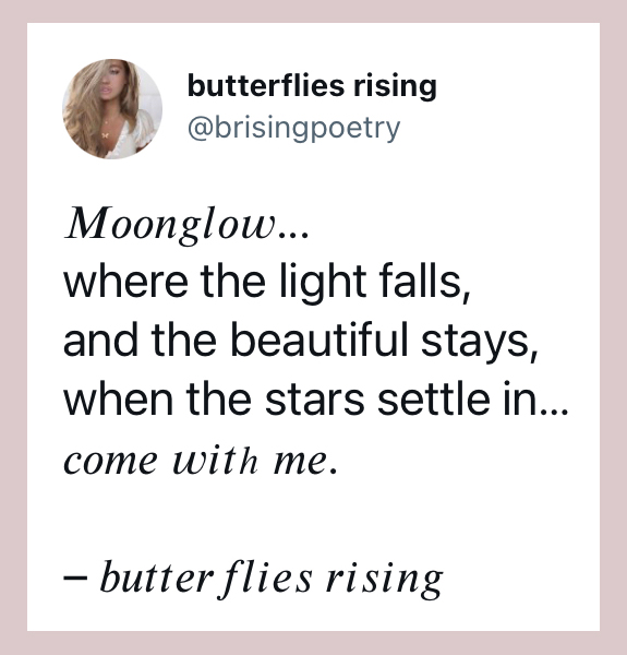 where the light falls, and the beautiful stays - butterflies rising quote
