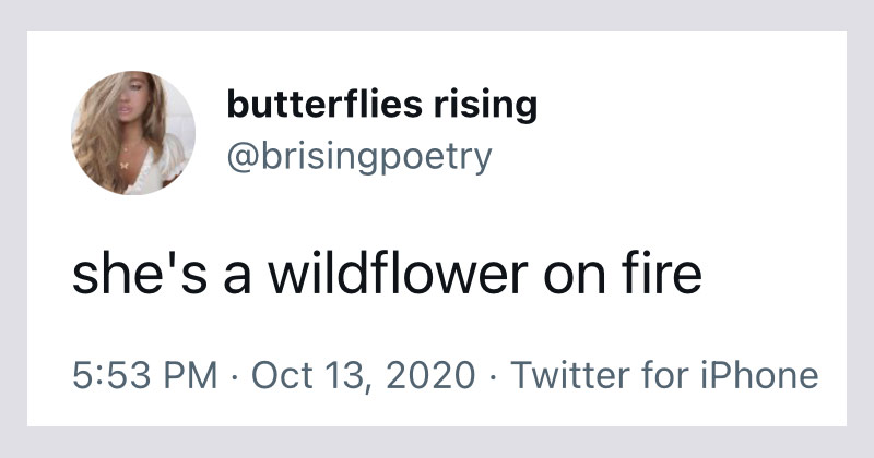 she's a wildflower on fire – butterflies rising