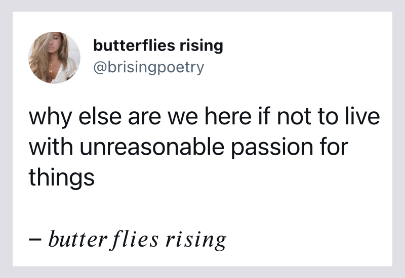 why else are we here if not to live with unreasonable passion for things - butterflies rising quote