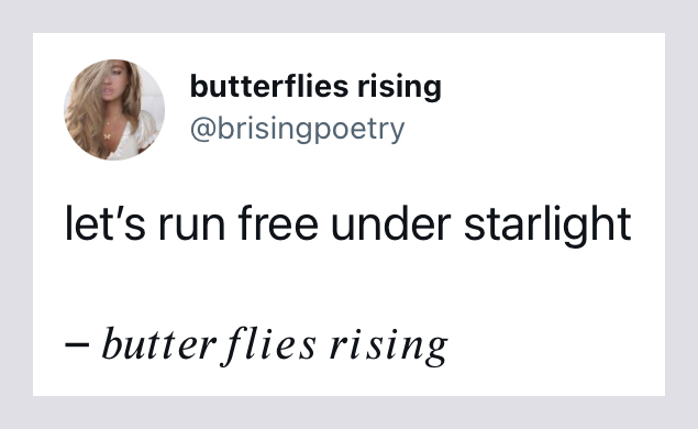 let’s run free under starlight - butterflies rising