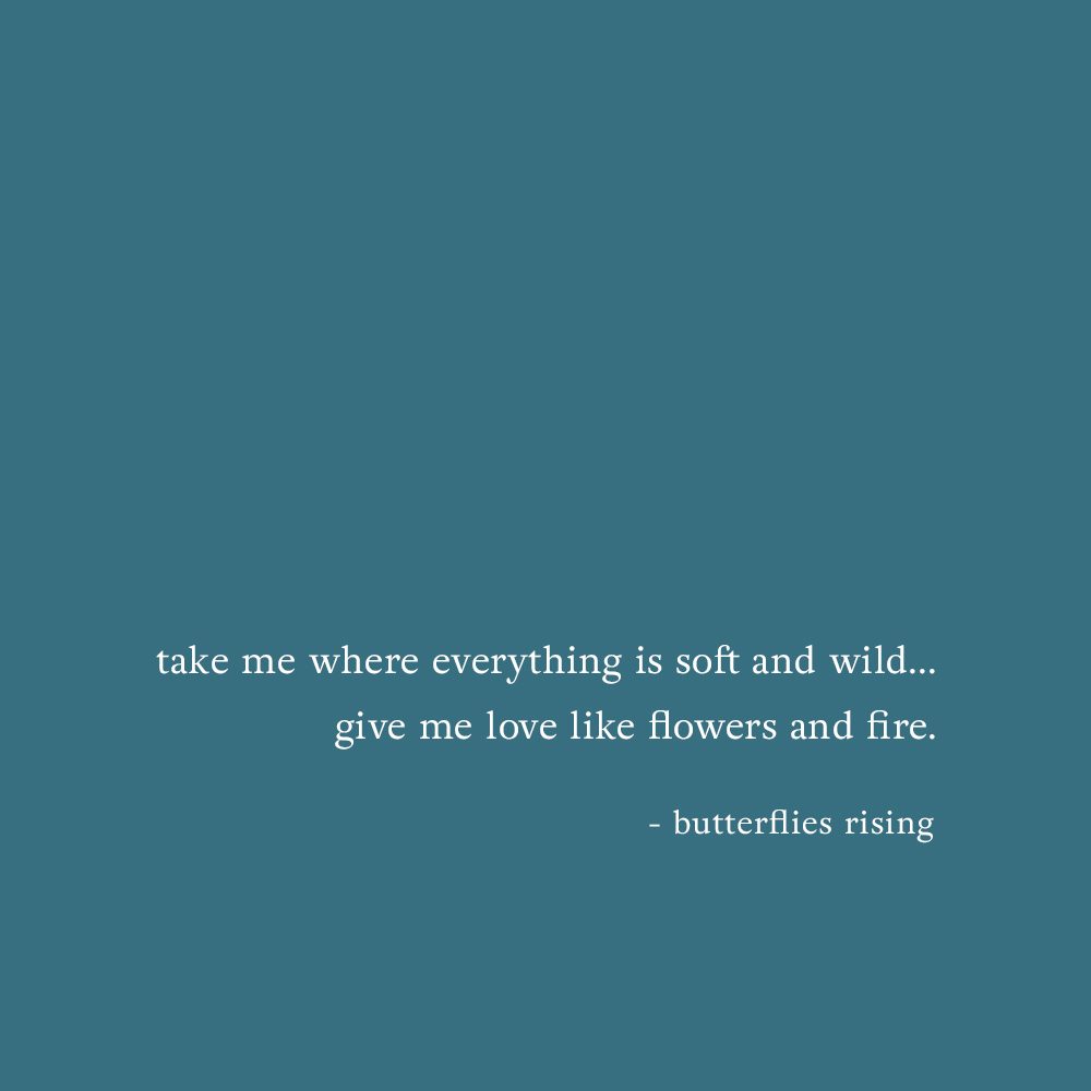 take me where everything is soft and wild… give me love like flowers and fire. - butterflies rising