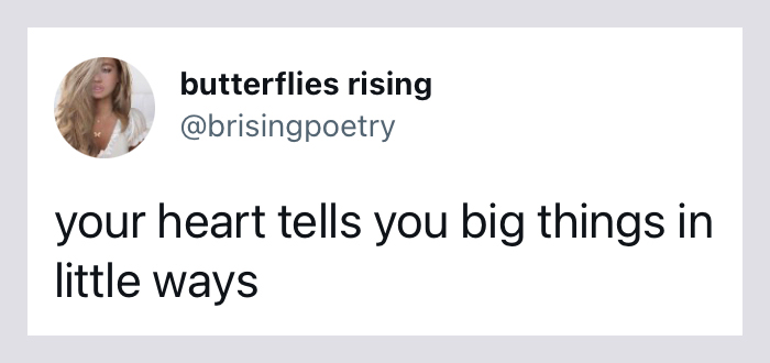 your heart tells you big things in little ways - butterflies rising