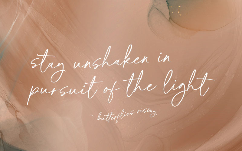 stay unshaken in pursuit of the light - butterflies rising quote