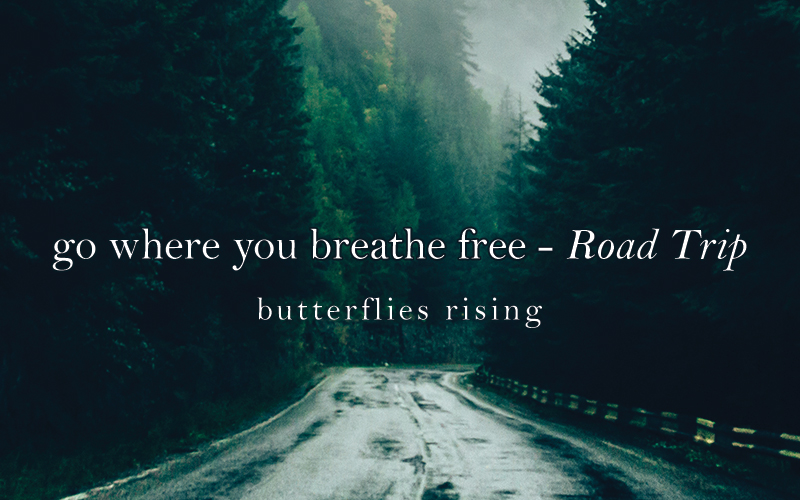 go where you breathe free - butterflies rising quote - road trip collection