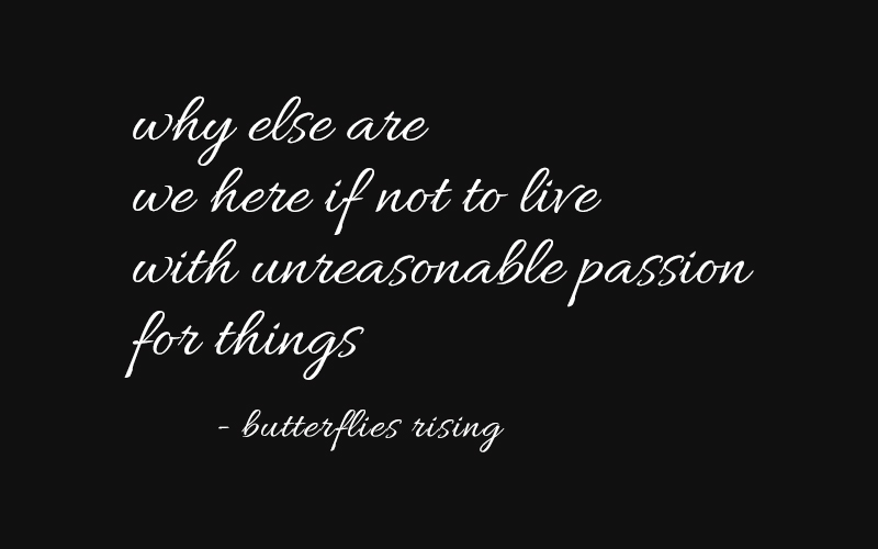 why else are we here if not to live with unreasonable passion for things